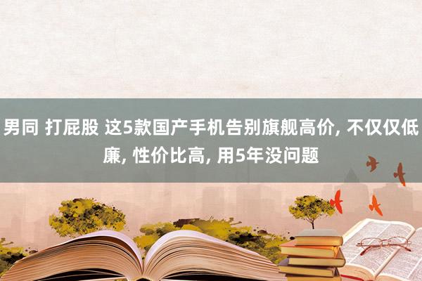 男同 打屁股 这5款国产手机告别旗舰高价， 不仅仅低廉， 性价比高， 用5年没问题