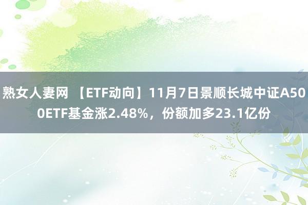 熟女人妻网 【ETF动向】11月7日景顺长城中证A500ETF基金涨2.48%，份额加多23.1亿份