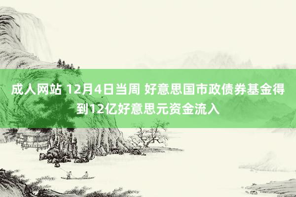 成人网站 12月4日当周 好意思国市政债券基金得到12亿好意思元资金流入