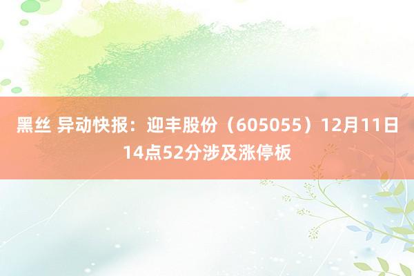 黑丝 异动快报：迎丰股份（605055）12月11日14点52分涉及涨停板