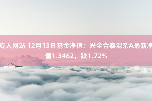 成人网站 12月13日基金净值：兴全合泰混杂A最新净值1.3462，跌1.72%