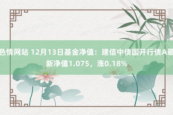 色情网站 12月13日基金净值：建信中债国开行债A最新净值1.075，涨0.18%