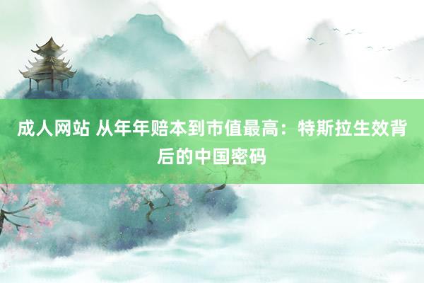 成人网站 从年年赔本到市值最高：特斯拉生效背后的中国密码