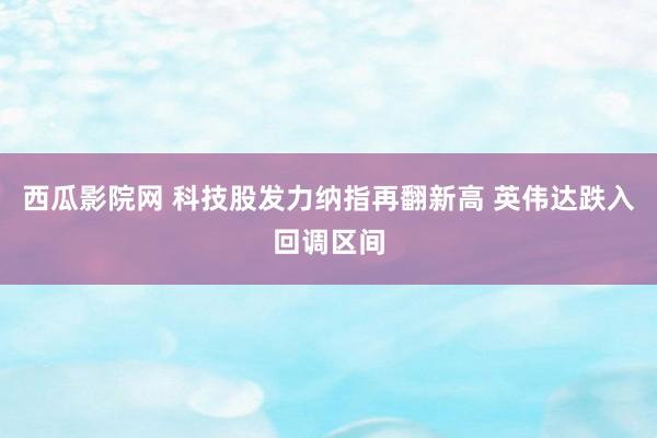 西瓜影院网 科技股发力纳指再翻新高 英伟达跌入回调区间