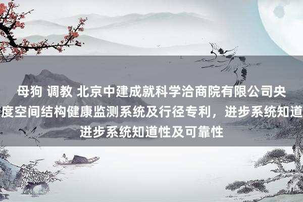 母狗 调教 北京中建成就科学洽商院有限公司央求一种大跨度空间结构健康监测系统及行径专利，进步系统知道性及可靠性