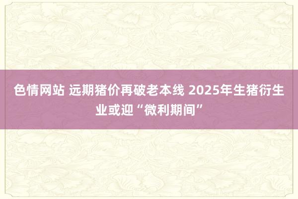 色情网站 远期猪价再破老本线 2025年生猪衍生业或迎“微利期间”