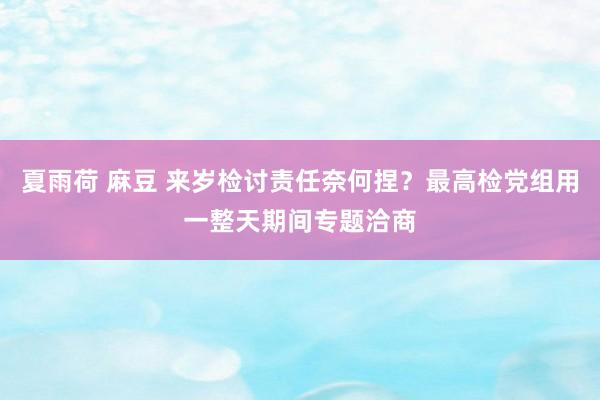 夏雨荷 麻豆 来岁检讨责任奈何捏？最高检党组用一整天期间专题洽商