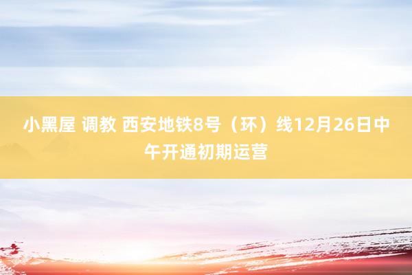 小黑屋 调教 西安地铁8号（环）线12月26日中午开通初期运营