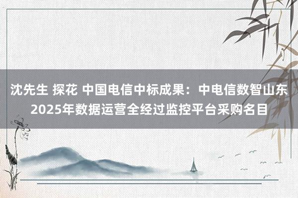 沈先生 探花 中国电信中标成果：中电信数智山东2025年数据运营全经过监控平台采购名目