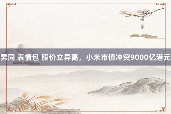 男同 表情包 股价立异高，小米市值冲突9000亿港元