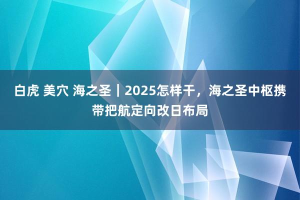 白虎 美穴 海之圣｜2025怎样干，海之圣中枢携带把航定向改日布局