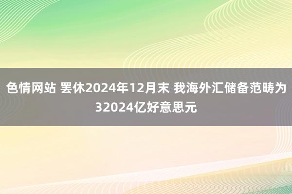 色情网站 罢休2024年12月末 我海外汇储备范畴为32024亿好意思元