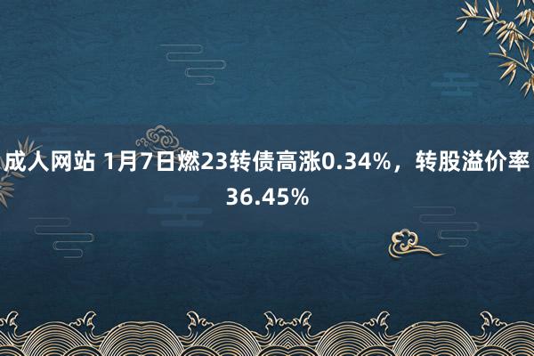 成人网站 1月7日燃23转债高涨0.34%，转股溢价率36.45%