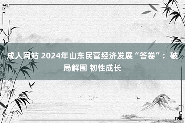 成人网站 2024年山东民营经济发展“答卷”：破局解围 韧性成长