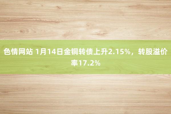 色情网站 1月14日金铜转债上升2.15%，转股溢价率17.2%