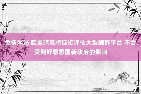 色情网站 欧盟暗意将链接评估大型酬酢平台 不会受到好意思国新政府的影响