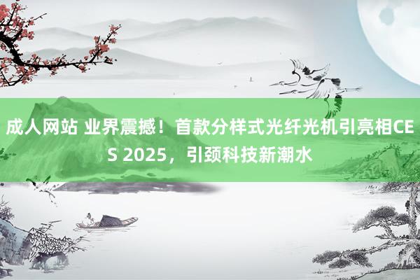 成人网站 业界震撼！首款分样式光纤光机引亮相CES 2025，引颈科技新潮水