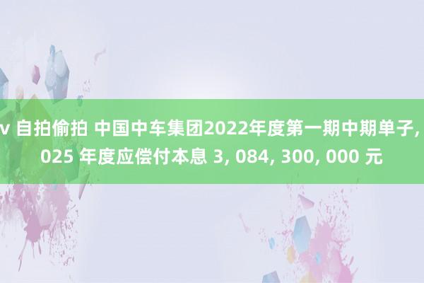 av 自拍偷拍 中国中车集团2022年度第一期中期单子， 2025 年度应偿付本息 3， 084， 300， 000 元