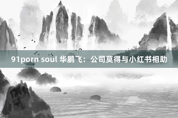 91porn soul 华鹏飞：公司莫得与小红书相助