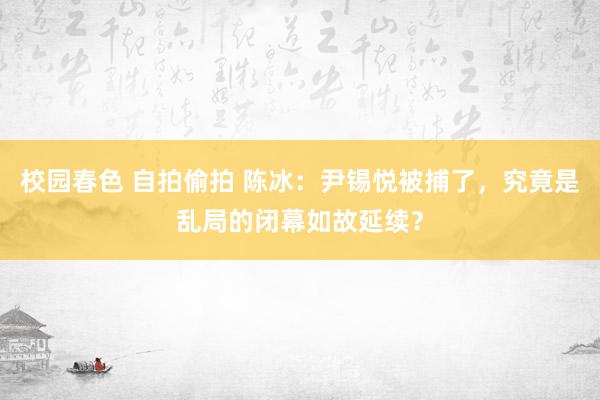 校园春色 自拍偷拍 陈冰：尹锡悦被捕了，究竟是乱局的闭幕如故延续？