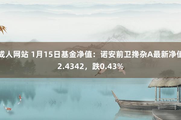 成人网站 1月15日基金净值：诺安前卫搀杂A最新净值2.4342，跌0.43%